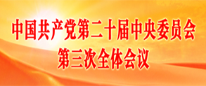 中国共产党第二十届中央委员会第三次全体会议
